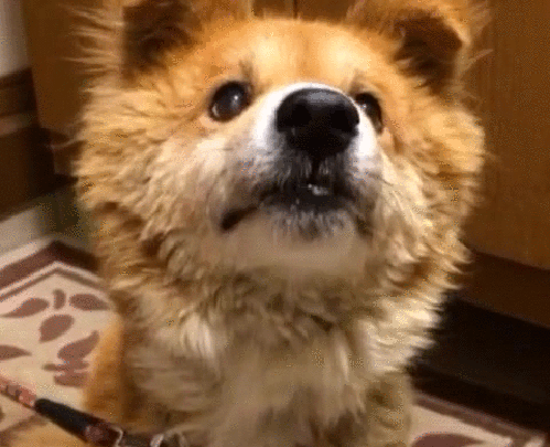 1445537525_442800676