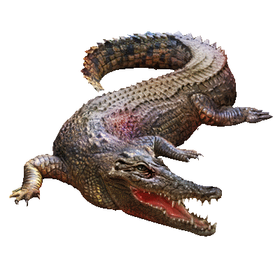 huge_item_muggercrocodile_01oo