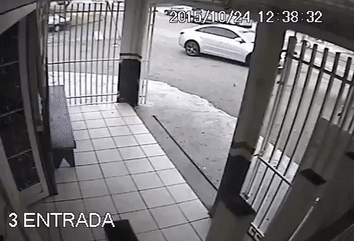 1445773871_368713579