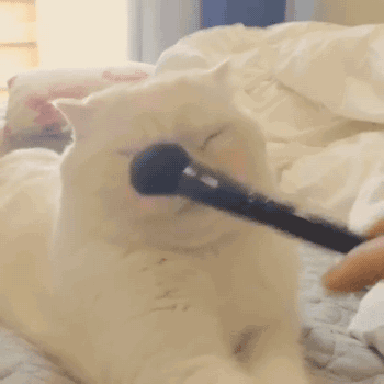 994381340c40bdf5914c3e62fb3