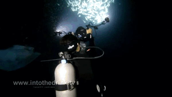 30102015-gifki-gifki-smeshnye-gifki-animashki_5055779927