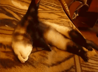 tumblr_nx0jzlbc0d1s02vreo8_400