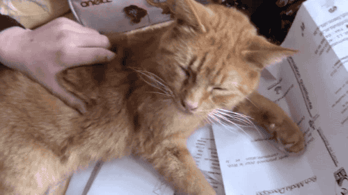 1446567043_533398059