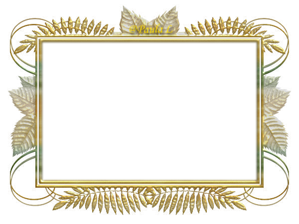 856233eac0a74d7b4351867e6daedc50