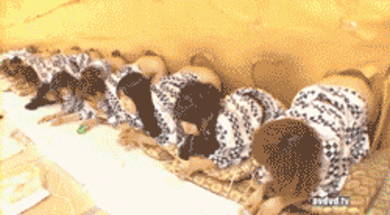 tumblr_m1hxrc5xd51rnuf8vo1_2501