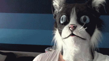 Коты_крипота