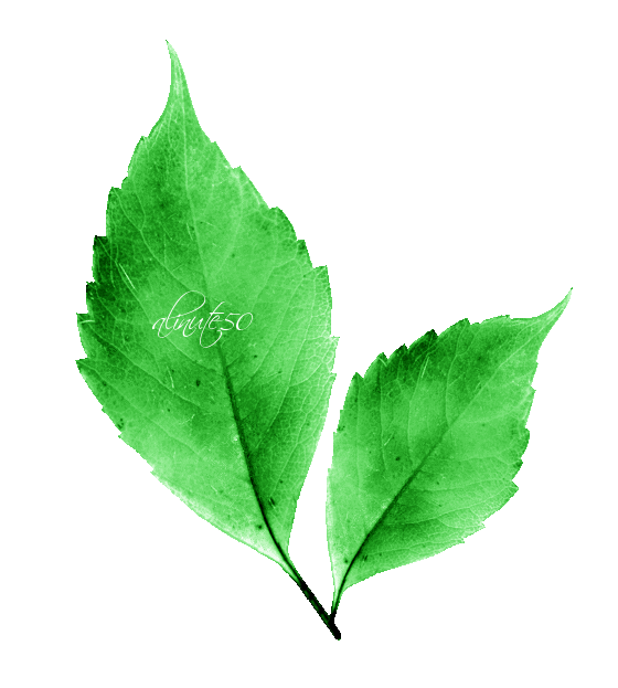 144540477387302 (12)