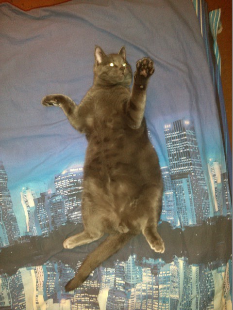 20150122_213752_Android