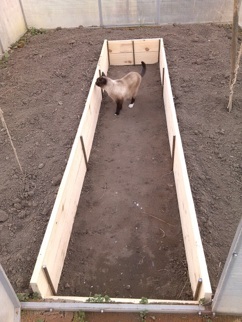 20150424_170208_Android