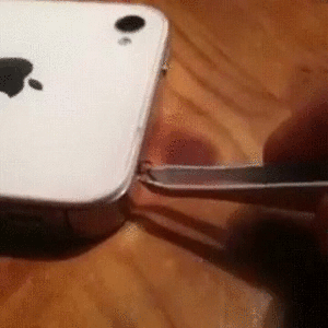 1446995804_433000648