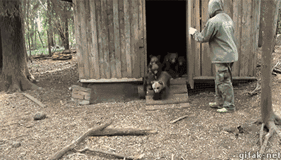 https__vk_com_gif_fak (1)