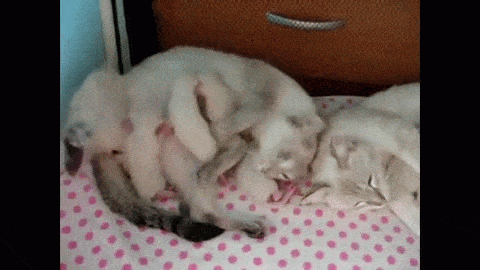 1447099924_224485352