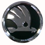 skodashildik03150x150