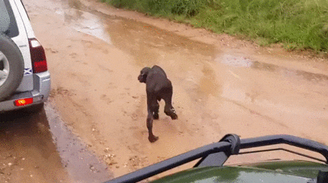 1447151858_2069236473