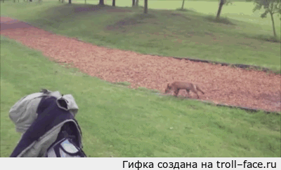 7cd84ebb4a3f77d710521e1a3bf