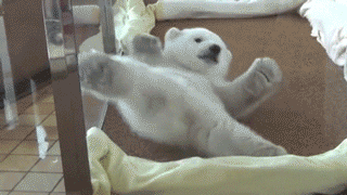 79be2aaead857f69c418f1fedee