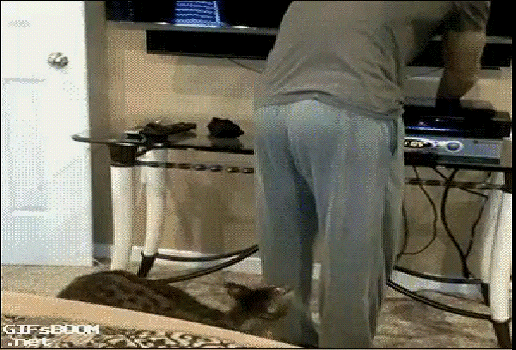 драчун