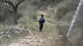 just_vid