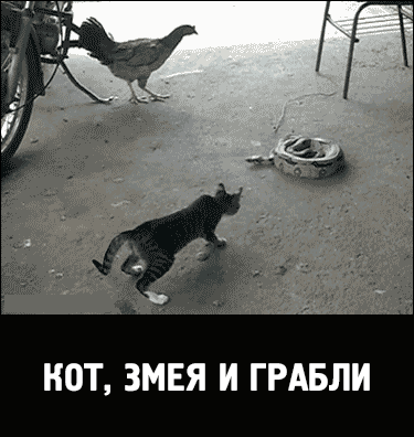 змея грабли