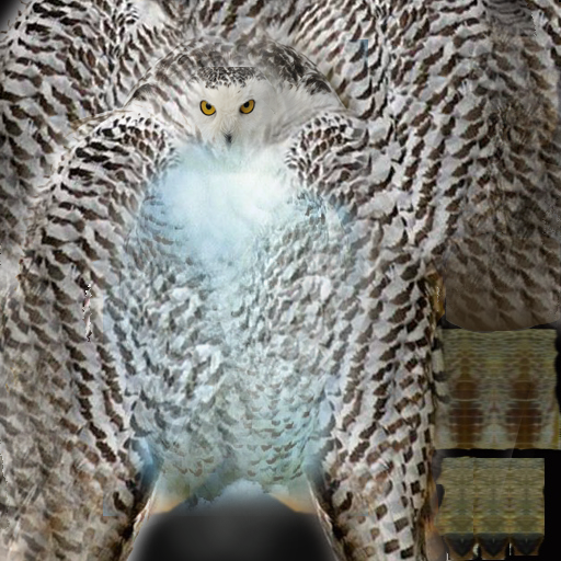Owl_1