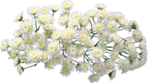 5d7008249477.2png