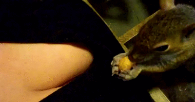 зима близко