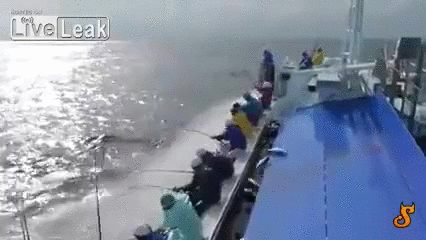 Fishing level 1000 - Imgur
