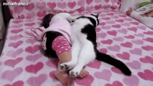 giphy (1)