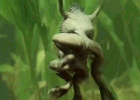 . Начало