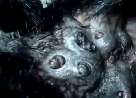 и лечінги