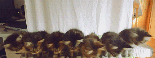gifs_08