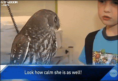 тс