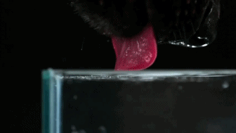 333