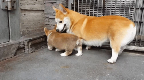 Присядь, хоть на минутку