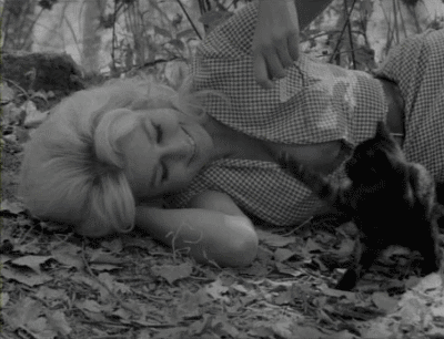 ca9142fa216e6b7431c09f0270d