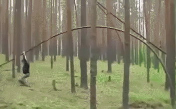 29213123212ff408c3568757bd20908e7d3862e7439b1c95db7b18c6cb984df2_1