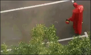 405fe254c84b8bbb7d211af470a