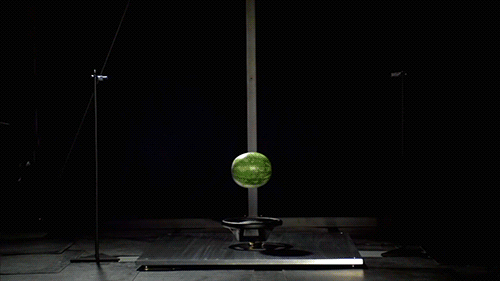 87389107919010_1447562306_07