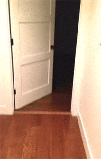 gifs_19