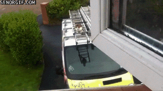 gifs_25