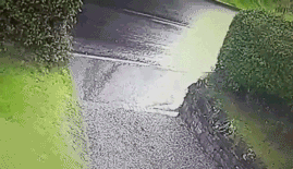 1447947598_475356479