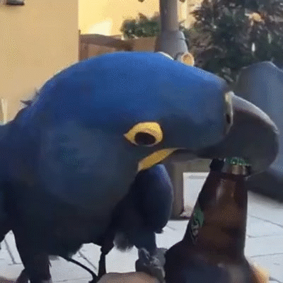 1448065702_998740677