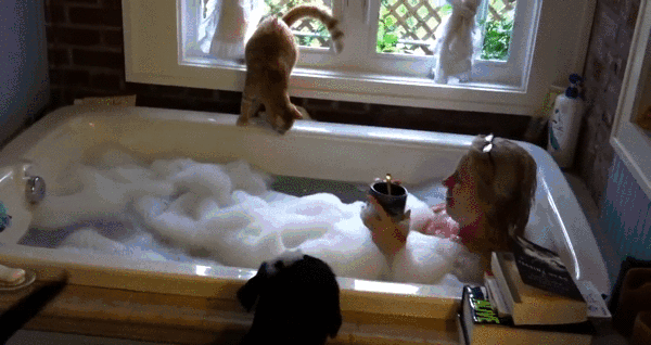 кот в ванной