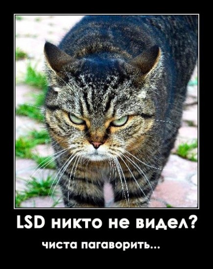 00ezw129 копия