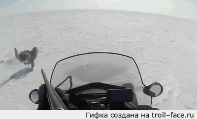 рывок