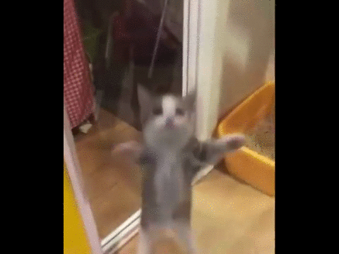 2ba8d223f9d9d40cb87376296ed