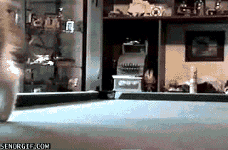 be6716a4694984634b32a73dea5