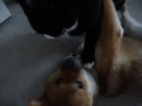 be076b989436061bab4905373ae