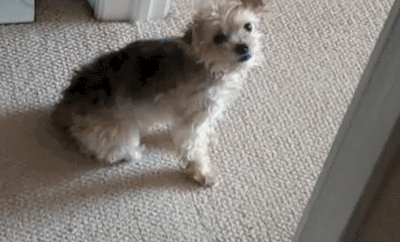 Я сваливаю!