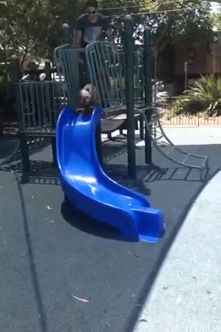 Come on, you can do it! - Imgur